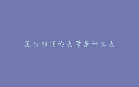 黑白相间的表带是什么表