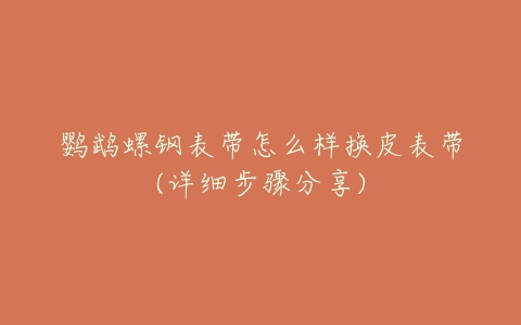 鹦鹉螺钢表带怎么样换皮表带(详细步骤分享)