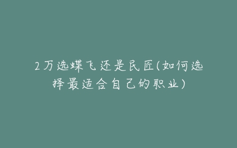 2万选蝶飞还是民匠(如何选择最适合自己的职业)