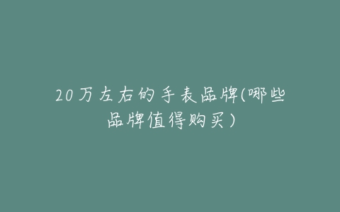 20万左右的手表品牌(哪些品牌值得购买)
