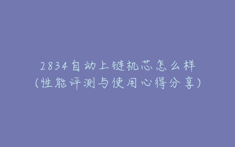2834自动上链机芯怎么样(性能评测与使用心得分享)-亿表网 2834自动上链机芯怎么样(性能评测与使用心得分享)-亿表网