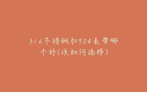 316不锈钢和904表带哪个好(该如何选择)