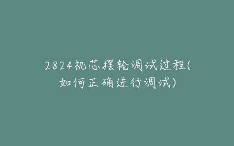 2824机芯摆轮调试过程(如何正确进行调试)