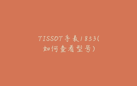 TISSOT手表1853(如何查看型号)-亿表网 TISSOT手表1853(如何查看型号)-亿表网