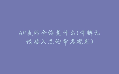 AP表的全称是什么(详解无线接入点的命名规则)-亿表网 AP表的全称是什么(详解无线接入点的命名规则)-亿表网