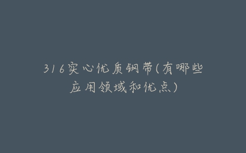 316实心优质钢带(有哪些应用领域和优点)