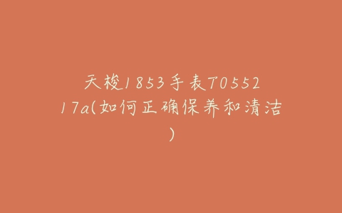 天梭1853手表T055217a(如何正确保养和清洁)