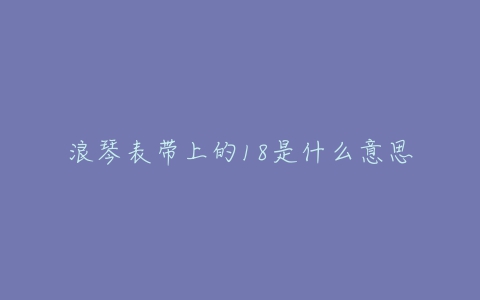 浪琴表带上的18是什么意思