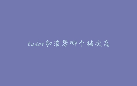 tudor和浪琴哪个档次高