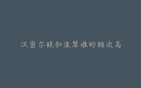 汉密尔顿和浪琴谁的档次高