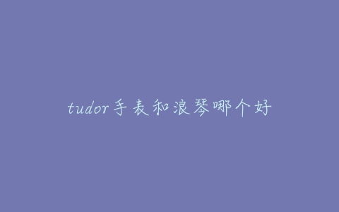 tudor手表和浪琴哪个好