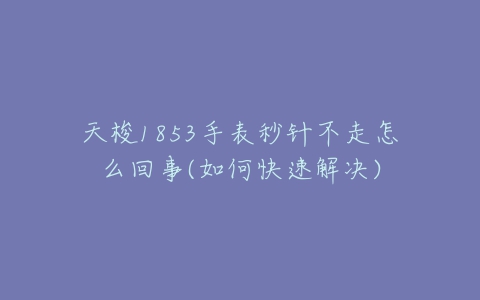 天梭1853手表秒针不走怎么回事(如何快速解决)