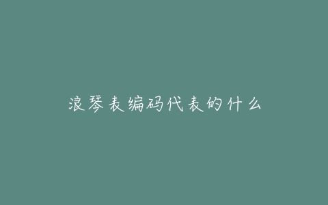 浪琴表编码代表的什么