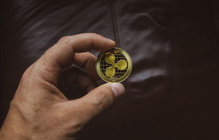  劳力士哪个系列更符合自己的个人风格？