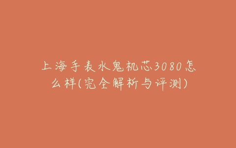 上海手表水鬼机芯3080怎么样(完全解析与评测)-亿表网