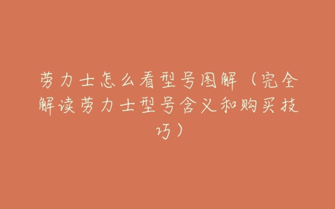 劳力士怎么看型号图解(完全解读劳力士型号含义和购买技巧)-亿表网 劳力士怎么看型号图解(完全解读劳力士型号含义和购买技巧)-亿表网