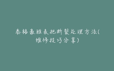 泰格豪雅表把断裂处理方法(维修技巧分享)