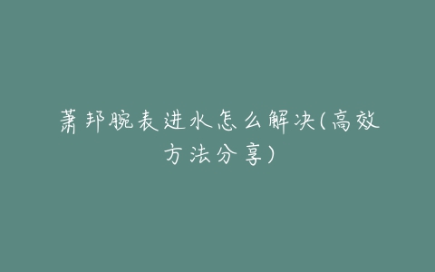 萧邦腕表进水怎么解决(高效方法分享)