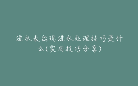 进水表出现进水处理技巧是什么(实用技巧分享)