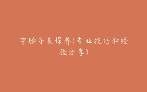 宇舶手表保养(专业技巧和经验分享)