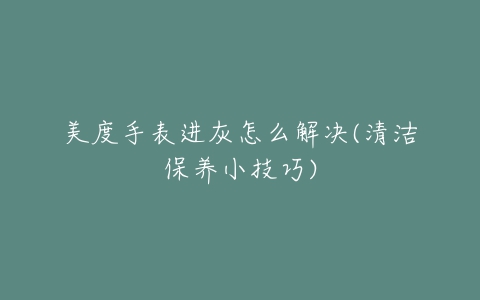 美度手表进灰怎么解决(清洁保养小技巧)