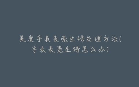 美度手表表壳生锈处理方法(手表表壳生锈怎么办)