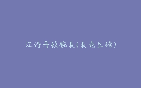 江诗丹顿腕表(表壳生锈)