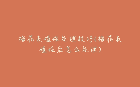 梅花表磕碰处理技巧(梅花表磕碰后怎么处理)