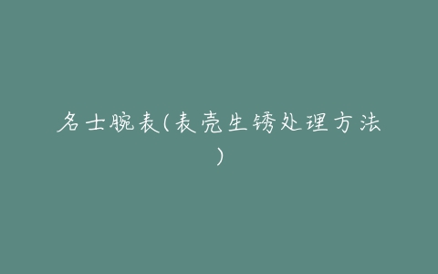 名士腕表(表壳生锈处理方法)