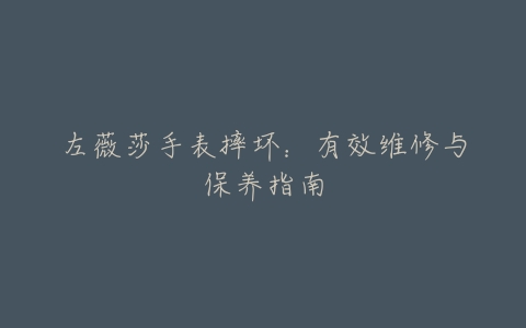 左薇莎手表摔坏：有效维修与保养指南