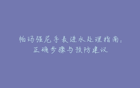 帕玛强尼手表进水处理指南：正确步骤与预防建议