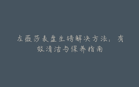 左薇莎表盘生锈解决方法：有效清洁与保养指南