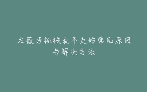 左薇莎机械表不走的常见原因与解决方法
