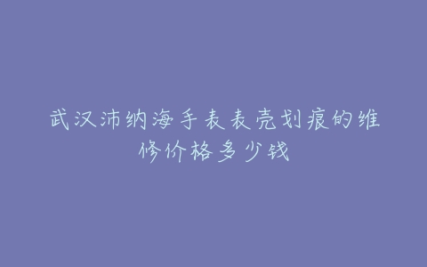 武汉沛纳海手表表壳划痕的维修价格多少钱