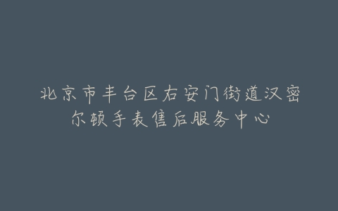 北京市丰台区右安门街道汉密尔顿手表售后服务中心